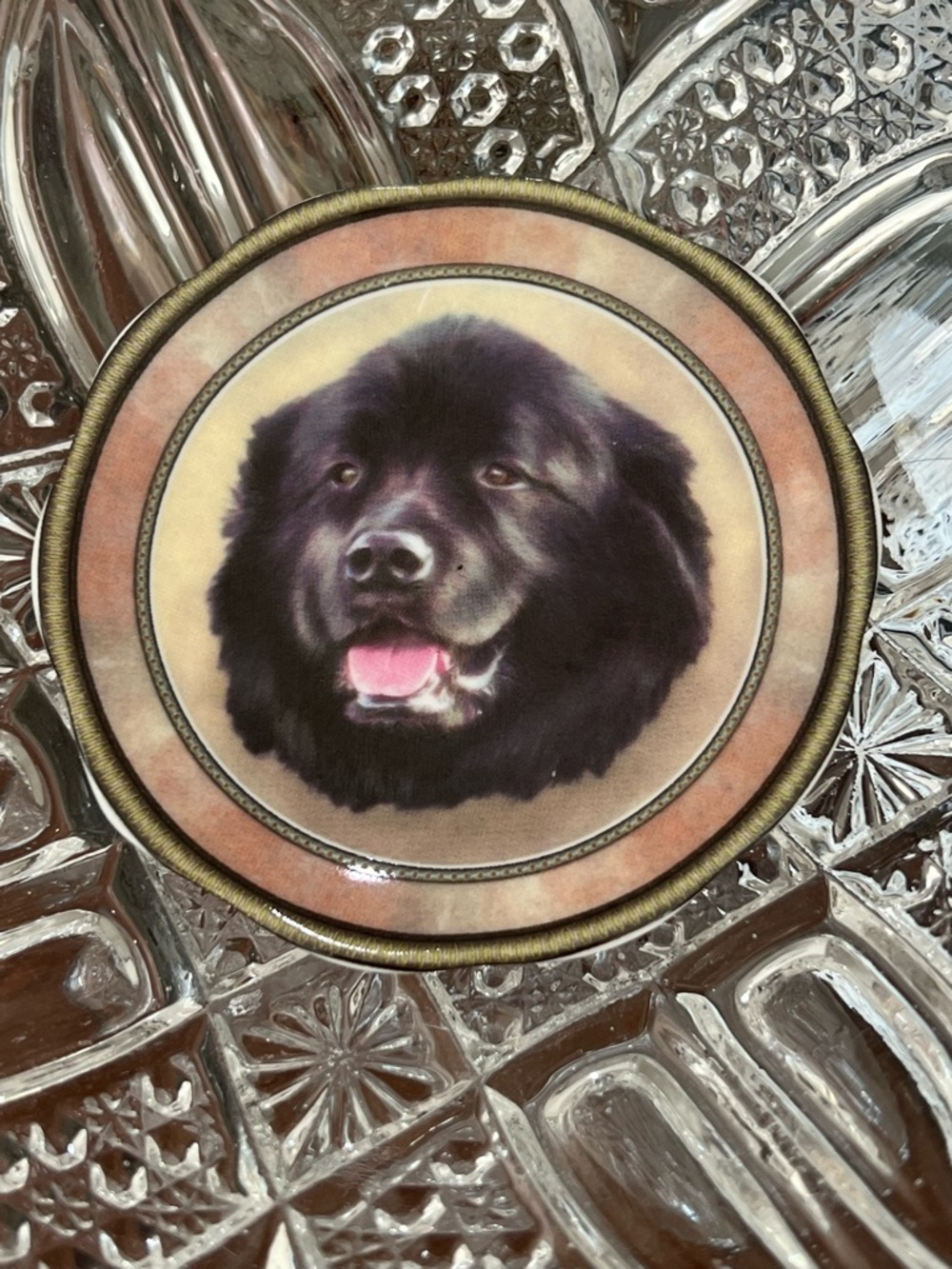 Vintage Newfoundland Dog Staffordshire Collection Bone China Collector’s Plate